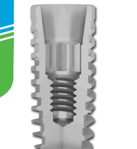 Stabilitate Restaurativă