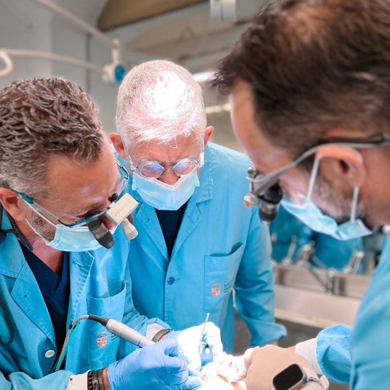 Workshop implanturi platformă unică Southern Implants